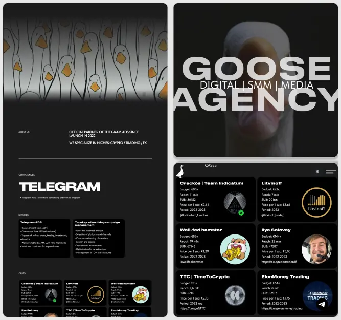 GooseAgency